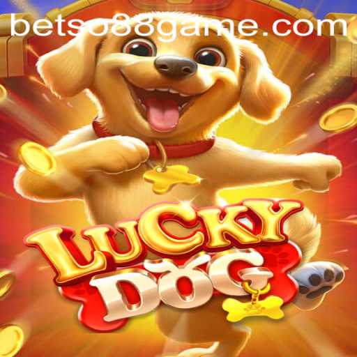 Exploring the Exciting World of LuckyDog and Betso 88
