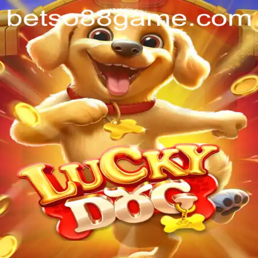 Exploring the Exciting World of LuckyDog and Betso 88